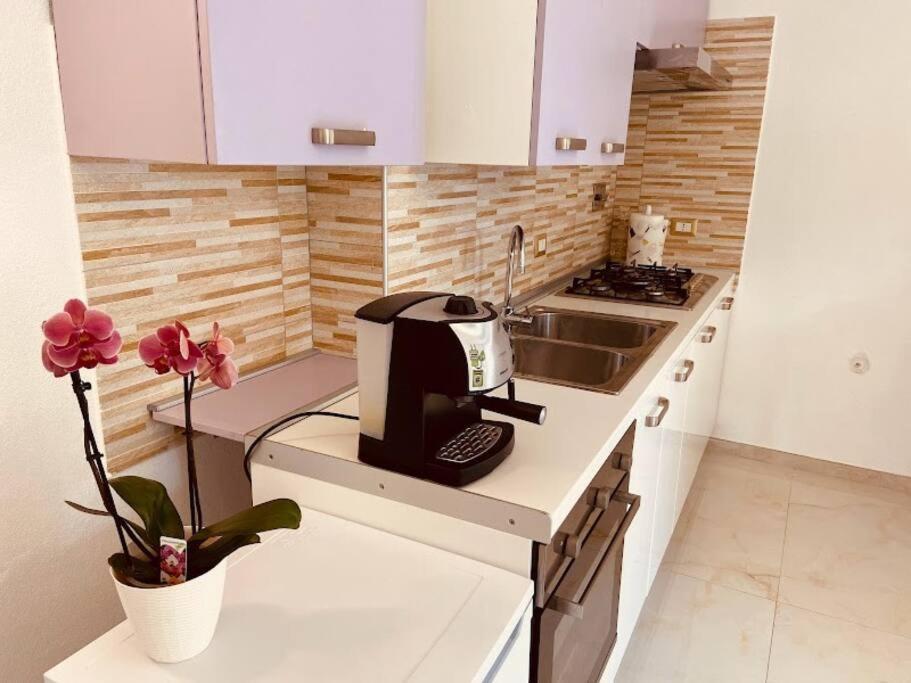 My Home In רומא מראה חיצוני תמונה